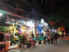 -溪岸路花鸟市场