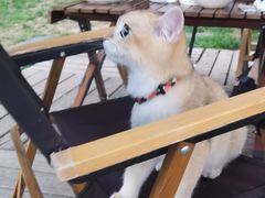 -Supine Bistro溯泮餐厅