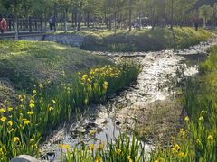 -黄海国家森林公园