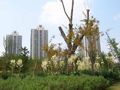 -苏州河梦清园环保主题公园