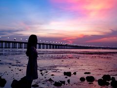 -宝安西湾红树林湿地公园