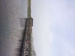 溱湖国家湿地公园-溱湖国家湿地公园