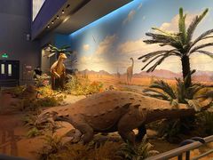 -贝林大翅鲸简餐厅(国家海洋博物馆店)