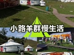 -关山牧场王师烤全羊