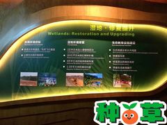 -华侨城湿地公园