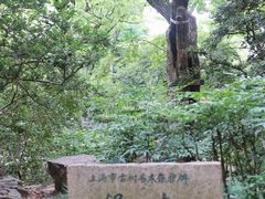 -秋霞圃