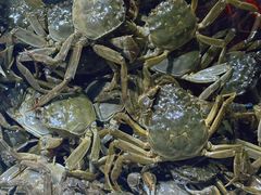 -聚盛源蒸汽海鲜火锅烤肉自助(巨川金海岸购物广场店)