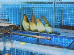 -潮香阁海鲜餐厅(较场尾店)