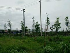 -黎明眼镜店(环山路店)