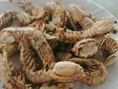 -七鲜渔港美食餐厅(巽寮湾海景店)