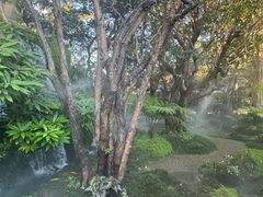 -Chom Cafe and Restaurant