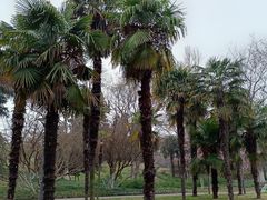 -泰州凤城河风景区-泰山公园