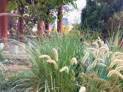 -九献创意菜·牛排馆(亮马河花园店)