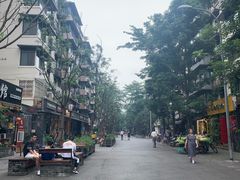 -泡桐树街