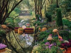 -上海共青森林公园