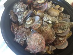 -赶海部落海鲜城(海阳路店)