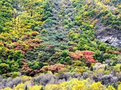 -叠溪松坪沟景区