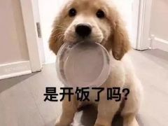 -万达广场(万州店)