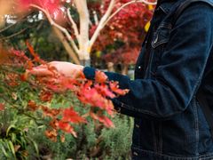 红枫-华东政法大学(松江校区)