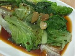 -小杨生煎(深圳岗厦北店)