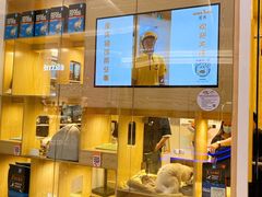 -屋虎猫馆(宝安大仟里店)