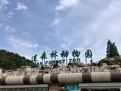 -大连森林动物园