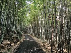 -苏州环秀晓筑养生度假村