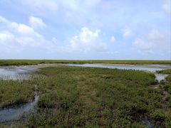 -北海金海湾红树林生态旅游区