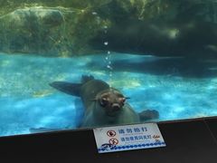 -锦艺城海洋馆
