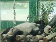 -广州动物园