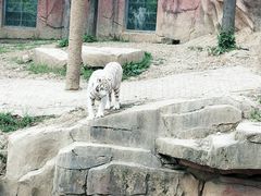 -无锡动物园·太湖欢乐园