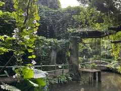 -青青世界