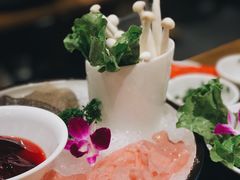 -大龙燚火锅(南山大道店)