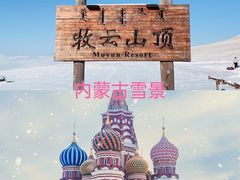 -呼伦贝尔大草原