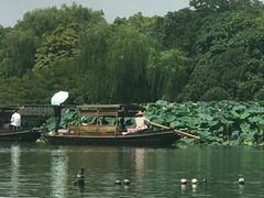 -西湖外事游船(花港观鱼码头)