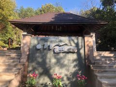 -天目湖涵田半山温泉