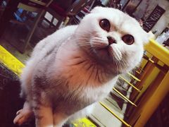 -MIKAKU(万达广场上海宝山店)