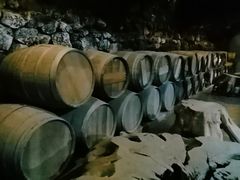 -文成城堡