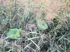 -华谊兄弟总部办公大楼