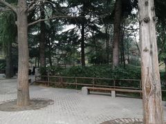-西苑公园