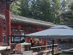 -尚庄度假村·庭台树下·户外烧烤·团建CS·轰趴营地(上庄水库店)