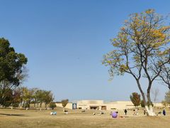 -盘龙城国家考古遗址公园