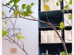 -M Stand(BFC外滩金融中心店)