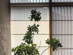 -元古雲境(太古里店)