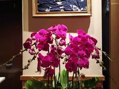 -周家二小姐的菜(丹阳店)