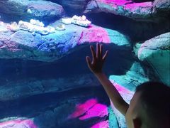 -沈阳海洋探索中心