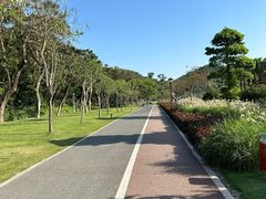 -野狸岛