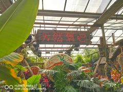 -呀路古热带植物园