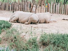 -北京野生动物园