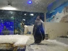 -台州海洋世界